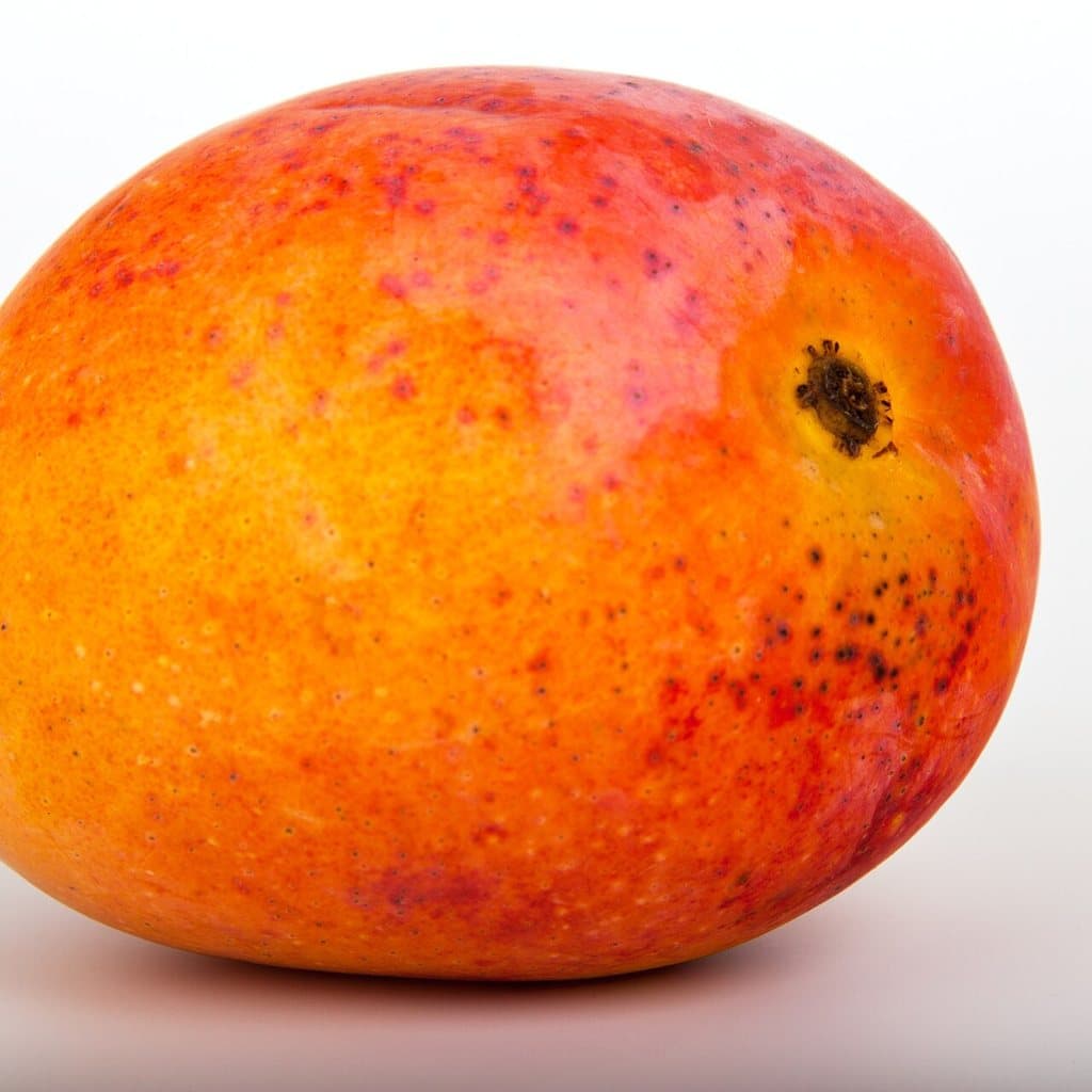 Alphonso Mango