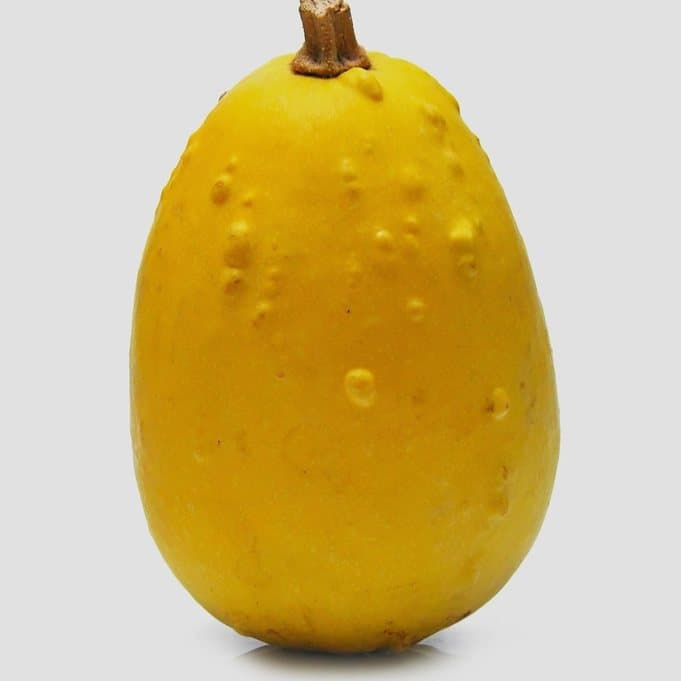 Banganapalli Mango