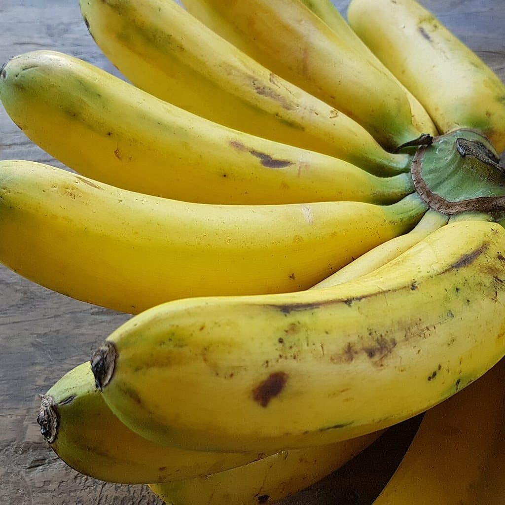 Robusta Banana